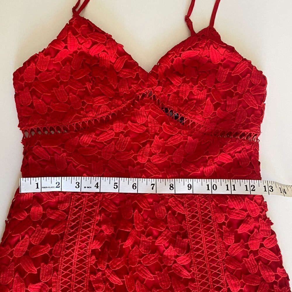 Bardot Red Roxy Leaf Lace Dress Size 4 - Picture 14 of 16